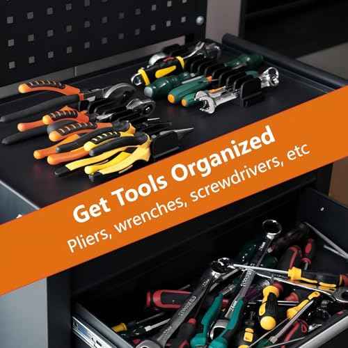 24 pcs Magnetic Plier Organizer Set for Toolbox & drawer Storage|Modular Plier holders for Mechanics, Technicians, Space-Saving & Quick-Access,Gift for father and boyfriend(Black)