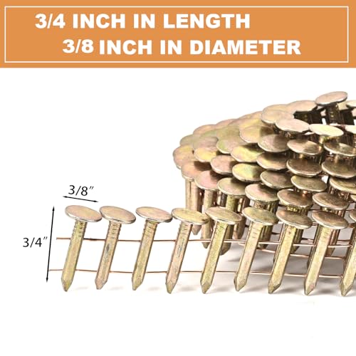 3/4 Inch Coil Roofing Nails 3600 Count - Wire Weld, Electro Galvanized - BHTOP