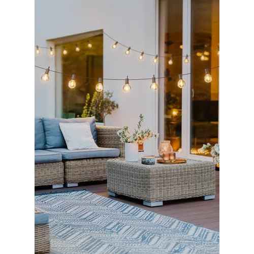 Outdoor String Lights 25 Feet G40 LED Patio Lights, Plug-in, 13 Plastic Edison Bulbs(1 Spare), Waterproof Connectable Hanging Light for Backyard Porch Balcony Party Decor, E12 Base, Black