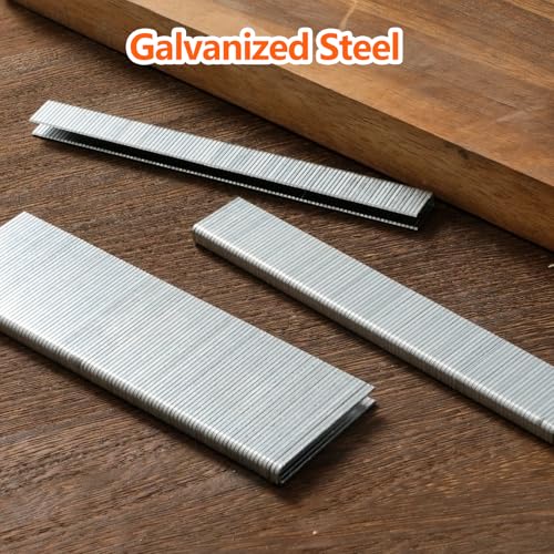 Galvanized Steel 1/4 Inch Narrow Crown Staples 1/2 Inch Length - 1000 Count