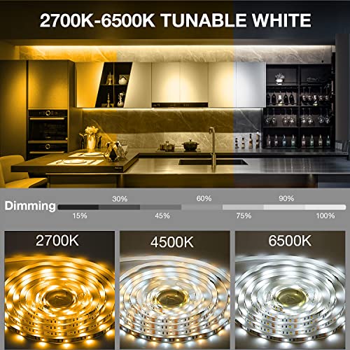 DAYBETTER 9.8ft Dimmable Under Cabinet LED Lights with Remote, Warm to Daylight White
