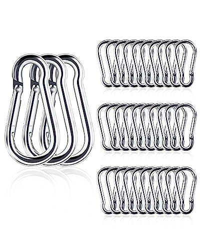 One Size Small Stainless Steel Carabiner Clips 30pcs Heavy Duty Locking Snap Hooks