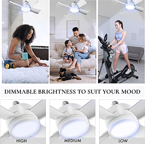 Bell+Howell White 10-Inch Ceiling Fan with LED Light, Remote Control