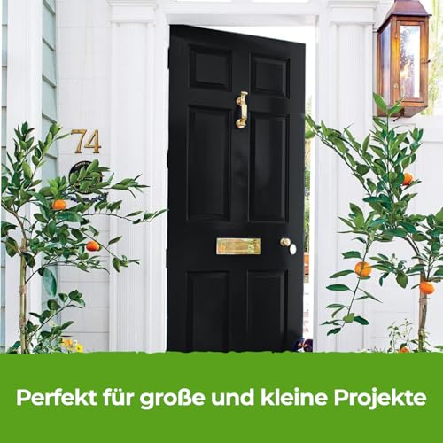 THE ONE All-In-One Paint & Primer - Black Matte, 8.5 Fl Oz / 250ml - One Coat Indoor & Outdoor Wall, Floor, Furniture