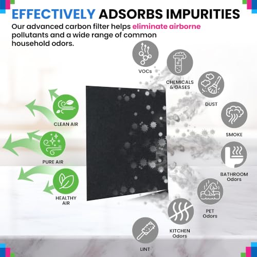 Bagean 16 x 48 inch Activated Carbon Filter Sheet, 2-Pack - Cut to Fit