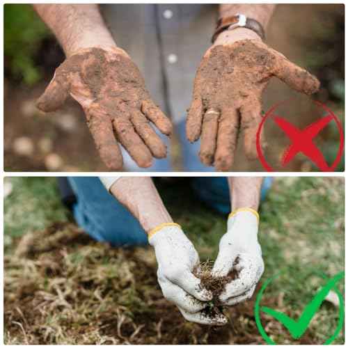 10 Pairs Cotton work gloves - White Safety Work Gloves for repair, construction, Industrial, Warehouse, Gardening, BBQ, and other uses, for men and women, L size