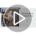 Sunenlyst Sink Spray Rubber Hose for Faucet - Portable Sink Attachment for Pets & Cleaning - For Sink