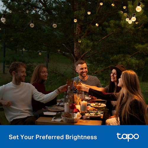 Tapo Outdoor Smart Dimmer Plug for Lights - 1-Socket, Matter, P430M
