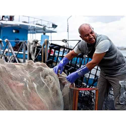 SHOWA Atlas 660 Triple-Dipped PVC Coated Chemical Resistant Safety Glove with Cotton Liner, 12" Length, X-Large (1 Pair)