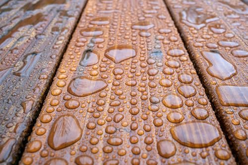 DEFY Extreme Wood Stain & Sealer in Cedar - 1 Gallon Waterproof Exterior Coating