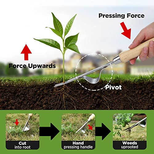 WORKPRO Weed Puller Tool, Metal Leverage Base and V-Shaped Forks for Easy Weed Removal & Deeper Root Digging, Heavy Duty Stainless Steel with Wood Handle, Manual Hand Weeder for Gardening