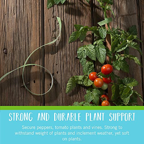 VELCRO Brand Recycled Plastic Garden Ties 50 Ft x 1/2 in Green, Adjustable Plant Support