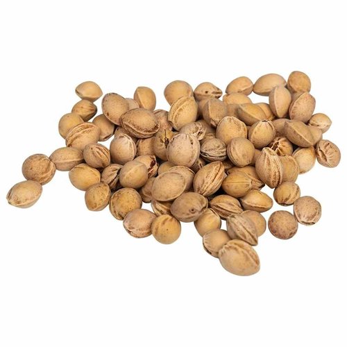 vidaXL Cherry Stones for Heat Cushion 44.1 lb