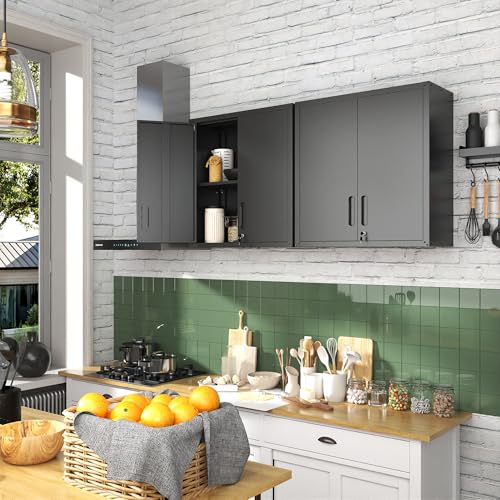 Wall Mounted Steel Storage Cabinet with Lockable Doors, 2-Section, 29.53 W x 11.81 D x 30.31 H, Black / S - 2 Doors