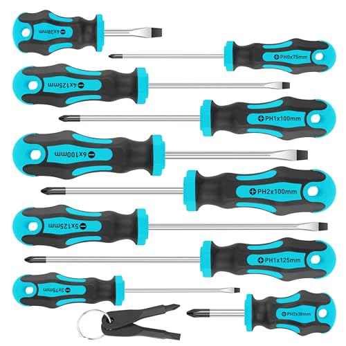 Amartisan 10-Piece Magnetic Screwdrivers Set, 5 Phillips and 5 Slotted Tips Professional Cushion Grip Screwdriver Set 2pcs Portable Multifunction Key Mini Screwdriver (Blue)