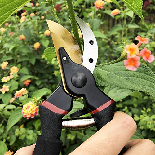 Gonicc 8-Inch Premium Titanium Bypass Pruning Shears - Golden Version