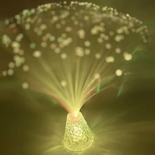 JALORDE 14 inch Fiber Optic Mood Novelty Lamps Lighting Lite with Color-Changing Crystals Base (1)