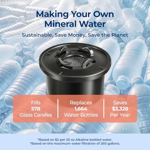 Bluevua Dual-Pack Remineralization Water Filters - 1 Year Supply, Compatible with RO100ROPOT