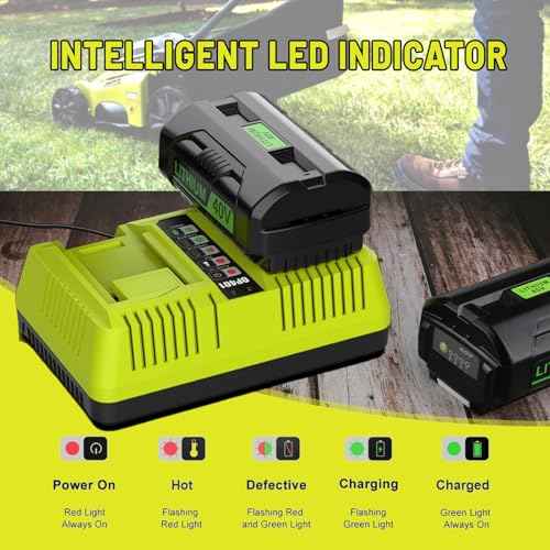 Dual Port OP401 Fast Charger Compatible with Ryobi 40V Battery OP4015 OP4026 OP4050 OP4060 Replacement Ryobi Charger 40V