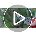 Kynup Modern Heavy Duty Pruning Shears with SK5 Steel - Left & Right Hand Friendly