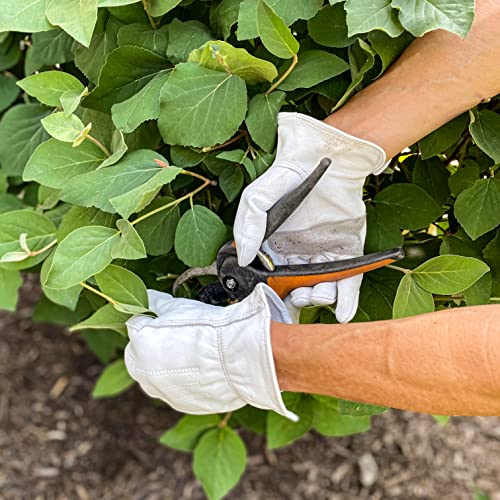 Wells Lamont Men¡¯s Full Leather Goatskin Work Gloves, Reinforced Palm Patch with Elastic Wrist, Soft Grain Leather for Durability, Comfort, and Dexterity