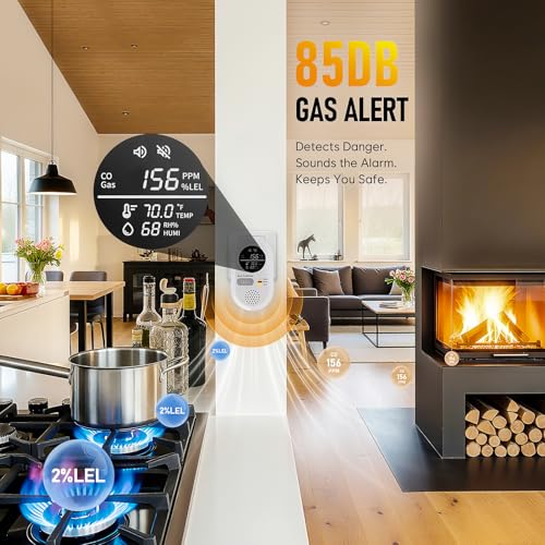 Portable Carbon Monoxide detectors for Travel - 5-in-1 Combination Natural Gas and Carbon Monoxide Detector,Detect Co,Gas,Temperature,Humidity