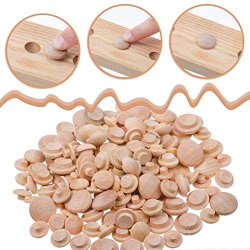 Bucherry Wooden Mushroom Hole Plugs - 120 Pieces, 4 Sizes for Furniture & DIY