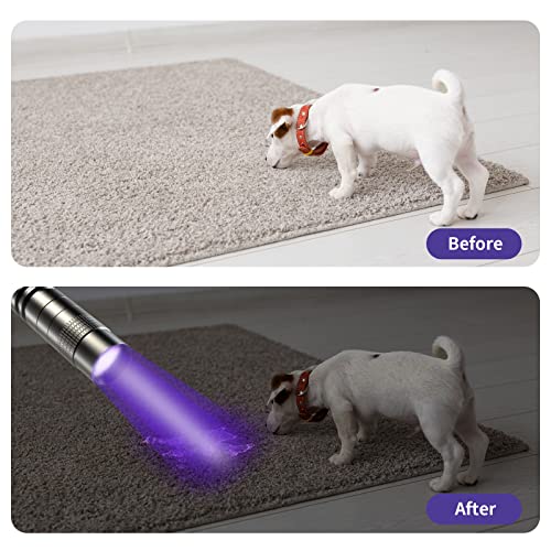 Black UV Flashlight 2 Pack - 395nm Mini Pen Light with Clip Waterproof for Pet Urine, Stains, Leak Detection