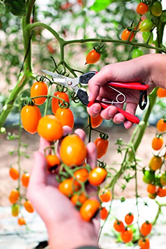 Felco F322 Pruning Snips 1.8in Straight Coated Carbon Steel Garden Clippers