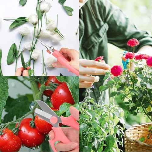 4 PCS Flower Scissors, Floral Shears Garden Pruning Shears Fruit Picking Trimming, Gardening Tool