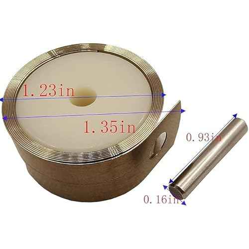 878-421 Ribbon Spring Set for Hitachi NR83A Framing Nailer 878421 878-421 (2 Pack)