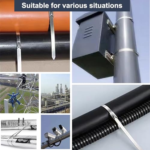 Duthcbw Stainless Steel Zip Ties 100 Pcs, 11.8 Inch Heavy Duty Self-Locking Cable Ties for Outdoor Use