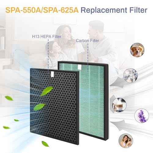 SPA-550A Filter Replacement Compatible With Rabbit Air BioGS 2.0 Air Purifiers, Model SPA-550A and SPA-625A, 2 True HEPA(H13) Filters + 2 Activated carbon Filters
