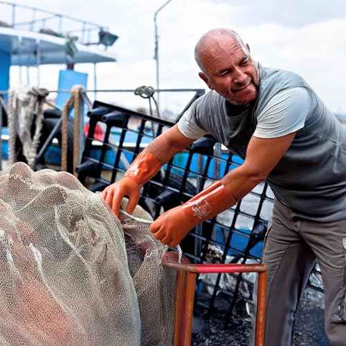 SHOWA Atlas 620 Double-Dipped PVC Chemical Resistant Safety Work Glove with Cotton Liner, 12" Length, Large (1 Pair)