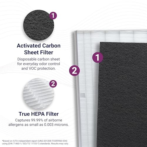 Winix 115115 Replacement Filter A for C535 5300-2 P300 5300 – 1 Count
