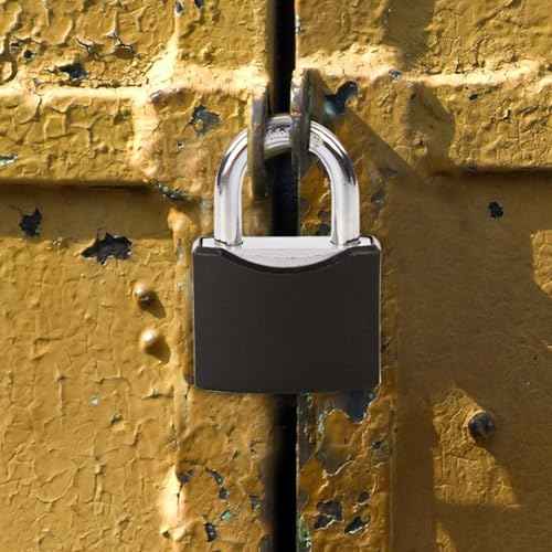 SEPOX¢ç 2Pcs 1-9/16" All-Weather Outdoor Padlocks Keyed Alike, Cut-Proof Shackle, Solid Steel Lock, Heavy-Duty with Black Cover, Design for Gate Fence Cabinet Toolbox School Gym Locker with Same Key