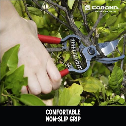 Corona Clipper 1-Inch Forged Bypass Pruner for Professional Gardening