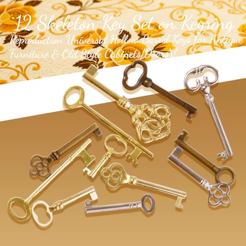 12-Piece Skeleton Key Set for Vintage Furniture Locks - Universal Hollow Barrel Keys