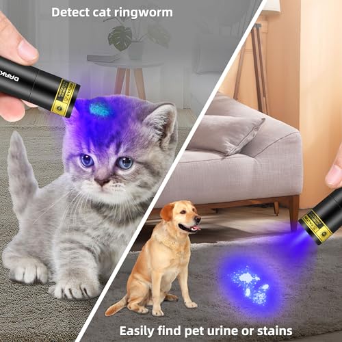 Mini 10W 365nm UV Flashlight Black Light for Detection & Inspection