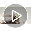 FAPUAL Brushed Gold Cabinet Knobs 10 Pack - Solid Zinc Drawer Pulls for Dressers & Cabinets