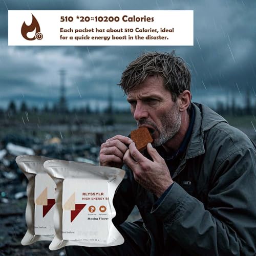 RLYSSYLR 2 Pack Emergency Food Ration Bars 8-Day Long Shelf Life, Sugar-Free Mocha Flavor