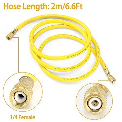 BETOOLL Nitrogen Regulator - Nitrogen Gauge with 78.7" Hose, 0-600 PSI Delivery Pressure Equipment Brass Inlet Outlet Connection Gauges