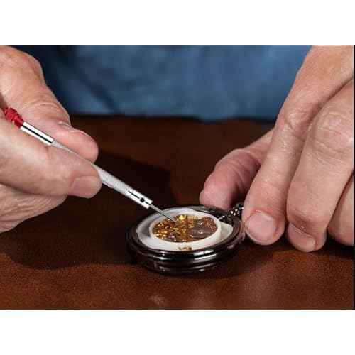 13PCS Professional Watch Screwdriver Set, BEBEEPOO Micro Precision Screwdriver Set£¬Micro Precision Eyeglasses Repair set£¬ 0.6-2.0mm, Jewelry Work,Computer Phone Small Tools