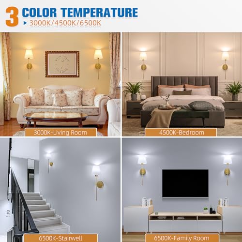NIORSUN Gold Rechargeable Battery Wall Sconce Set of 2 - 24 Inch, Dimmable, Remote, 10 Color Options