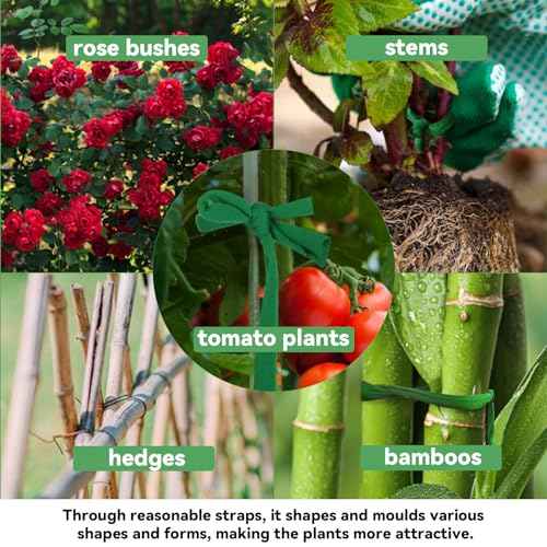 MAQIHAN 2 Pack Garden String - Plant Ties, Garden Twine, Gardening Tape, Tree Support, Stretchy Trap for Trees,Flowers,Green Soft Ties for All Plants All Gardeners(35M/Roll,115FT)
