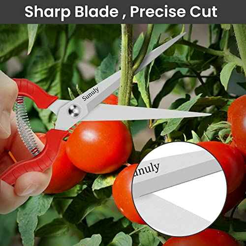 Extra Long Pruning Shears, Gardening Hand Pruners with Stainless Steel Blades, Garden scissors for Arranging Flowers, Trimming Plants, Harvesting Herbs, Fruits or Vegetables, 9.5IN
