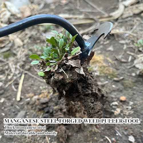 WMM Weed Puller Tool Gardening Tools Set of 2 Uprooting Weed Pulling Tool, 4 Teeth Manganese Steel Forged Weeding Tool for Vegetable, Portable Hand Weeder Tool for Garden Farm Planting Weeding