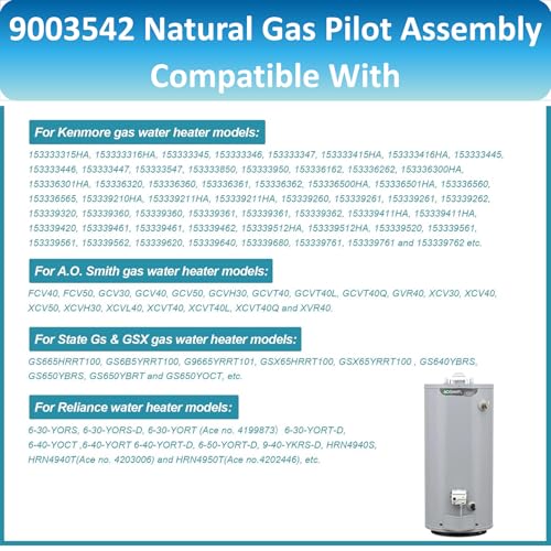 Long Term 9003542 Pilot Assembly for Natural Gas Water Heaters - Compatible with Reliance, A.O.Smith, Kenmore, State GS & GSX, Replaces 100109295