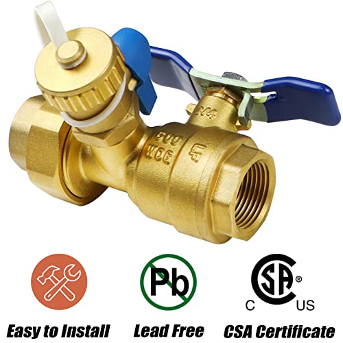3/4 Inch IPS Tankless Water Heater Service Isolation Valve Kit with Relief Valve