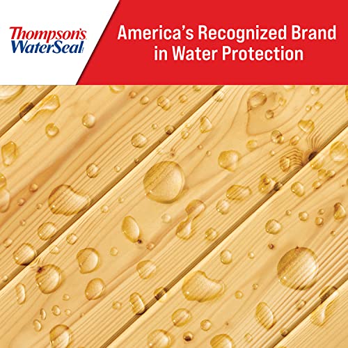 Thompson’s WaterSeal Multi-Surface Waterproof Stain 1 Gallon, Clear Exterior Protectant